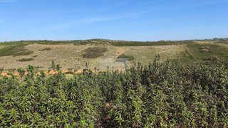 Land for sale in Vila do Bispo, Portugal — €80,000
