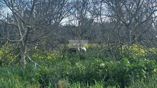Land for sale in Portimão, Portugal — €85,000