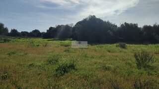 Land for sale in Vila do Bispo, Portugal — €99,000