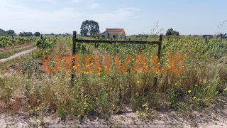 Land for sale in Palmela, Portugal — €125,000