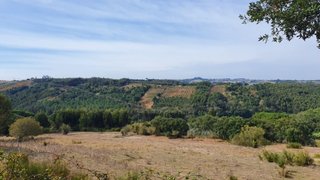 Land for sale in Óbidos, Portugal — €195,000