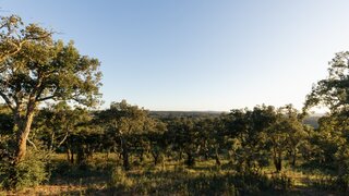 Land for sale in Santiago do Cacém, Portugal — €950,000