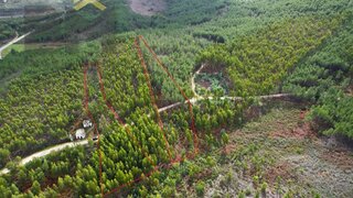 Land for sale in Vila Velha de Ródão, Portugal — €15,000