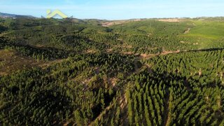 Terreno de 930 160 m² em Castelo Branco