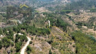 Terreno de 4750 m² em Castelo Branco