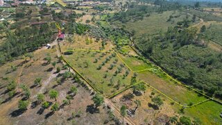 Land for sale in Castelo Branco, Portugal — €18,750
