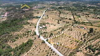 Terreno de 4600 m² em Castelo Branco
