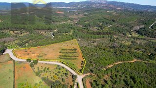 Terreno de 12 160 m² em Castelo Branco
