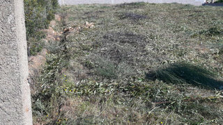 Land for sale in Castelo Branco, Portugal — €42,000
