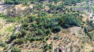 Land for sale in Castelo Branco, Portugal — €9,750