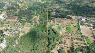 Terreno de 4120 m² em Castelo Branco