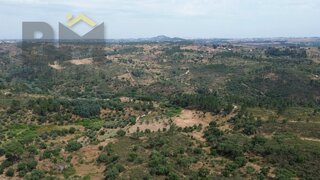 Terreno de 4400 m² em Castelo Branco