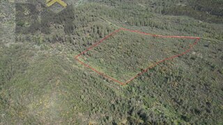 Terreno de 14 080 m² em Castelo Branco