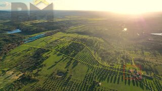 Terreno de 166 500 m² em Castelo Branco