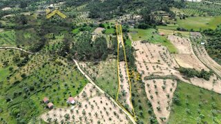Terreno em Castelo Branco · 5480 m² · 16 000 €