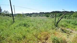 Land for sale in Tábua, Portugal — €7,500