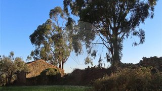 Land for sale in Fundão, Portugal — €79,999