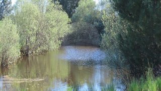 Terreno de 84 500 m² em Castelo Branco