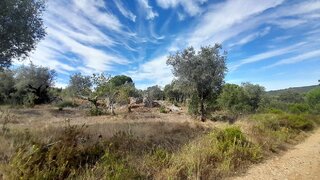 Land for sale in Torres Novas, Portugal — €15,000