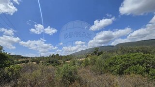 Land for sale in Torres Novas, Portugal — €9,000