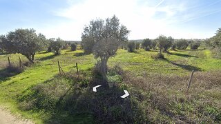 Land for sale in Reguengos de Monsaraz, Portugal — €65,000