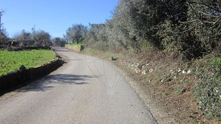 Land for sale in Ansião, Portugal — €40,000