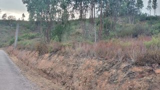 Land for sale in Sertã, Portugal — €5,000