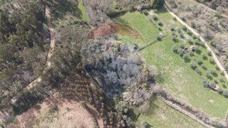 Land for sale in Tomar, Portugal — €6,900