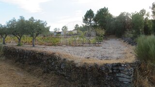 Land for sale in Torre de Moncorvo, Portugal — €28,500
