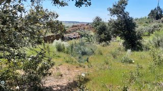 Land for sale in Idanha-a-Nova, Portugal — €5,800