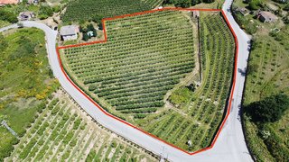Land for sale in Tarouca, Portugal — €220,000