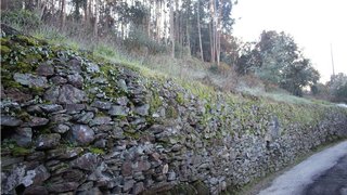 Land for sale in Penacova, Portugal — €31,500