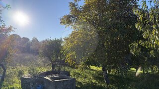Land for sale in Torres Novas, Portugal — €15,000
