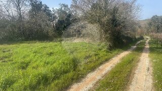 Land for sale in Alvaiázere, Portugal — €28,000