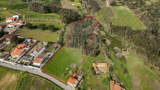 Land for sale in Alcobaça, Portugal — €230,000
