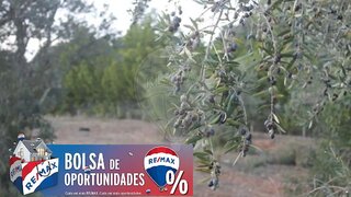 Terreno em Constância