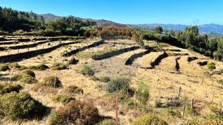 Land for sale in Arcos de Valdevez, Portugal — €27,645