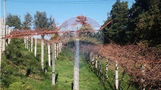 Land for sale in Arcos de Valdevez, Portugal — €15,000