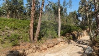Terreno em Lousada