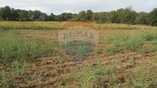 Land for sale in Chaves, Portugal — €70,000