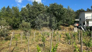 Land for sale in Mangualde, Portugal — €29,990