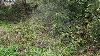 Land for sale in Sintra, Portugal — €75,000