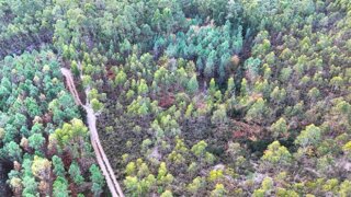 Land for sale in Tondela, Portugal — €30,000