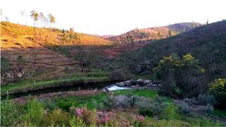 Land for sale in Sertã, Portugal — €7,000