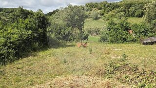 Land for sale in Mafra, Portugal — €15,000