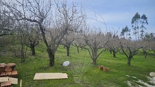 Land for sale in Nazaré, Portugal — €15,000