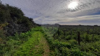 Terreno em Santarém · 33 280 m² · 40 000 €