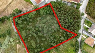 Land for sale in Anadia, Portugal — €130,000