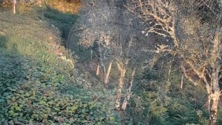 Land for sale in Vieira do Minho, Portugal — €39,000