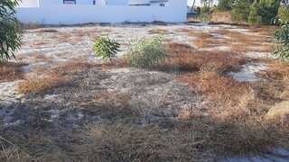 Land for sale in Alcácer do Sal, Portugal — €845,000